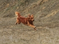 drc_schnupper_workingtest_april_2013-181
