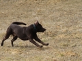 drc_schnupper_workingtest_april_2013-193