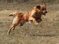 drc_schnupper_workingtest_april_2013-204