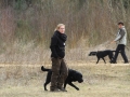 drc_schnupper_workingtest_april_2013-205