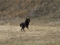 drc_schnupper_workingtest_april_2013-230