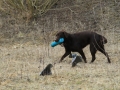 drc_schnupper_workingtest_april_2013-231