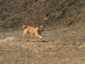 drc_schnupper_workingtest_april_2013-236