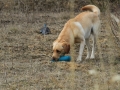 drc_schnupper_workingtest_april_2013-243