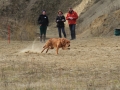 drc_schnupper_workingtest_april_2013-245