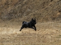 drc_schnupper_workingtest_april_2013-249