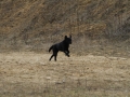 drc_schnupper_workingtest_april_2013-262