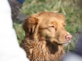 k-IMG_0008 Kopie.JPG
