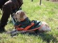 k-IMG_0011 Kopie.JPG