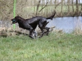 k-IMG_0015 Kopie.JPG
