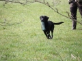 k-IMG_0021 Kopie.JPG