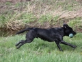 k-IMG_0024 Kopie.JPG