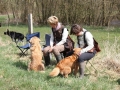 k-IMG_0030 Kopie.JPG