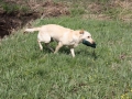 k-IMG_0032 Kopie.JPG