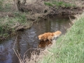 k-IMG_0033 Kopie.JPG