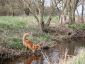 k-IMG_0035 Kopie.JPG