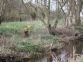 k-IMG_0040 Kopie.JPG