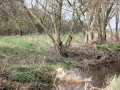 k-IMG_0042 Kopie.JPG
