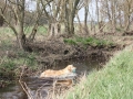 k-IMG_0043 Kopie.JPG