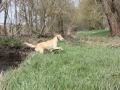 k-IMG_0044 Kopie.JPG