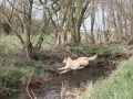 k-IMG_0045 Kopie.JPG