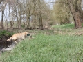 k-IMG_0047 Kopie.JPG
