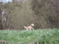 k-IMG_0052 Kopie.JPG