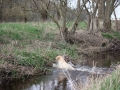 k-IMG_0055 Kopie.JPG