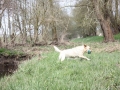 k-IMG_0058 Kopie.JPG
