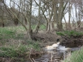 k-IMG_0061 Kopie.JPG