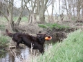 k-IMG_0076 Kopie.JPG