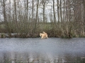 k-IMG_0084 Kopie.JPG