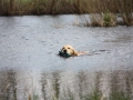 k-IMG_0085 Kopie.JPG