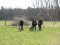 k-IMG_0095 Kopie.JPG