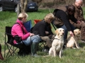 k-IMG_0112 Kopie.JPG