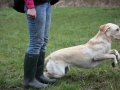 k-IMG_0123 Kopie.JPG