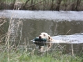 k-IMG_0129 Kopie.JPG