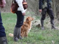 k-IMG_0140 Kopie.JPG