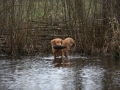 k-IMG_0148 Kopie.JPG