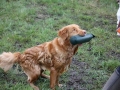 k-IMG_0154 Kopie.JPG
