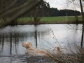 k-IMG_0170 Kopie.JPG