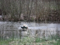 k-IMG_0181 Kopie.JPG