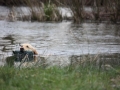 k-IMG_0183 Kopie.JPG