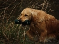 k-IMG_0195 Kopie.JPG