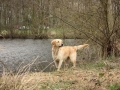 k-IMG_0220 Kopie.JPG