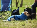 k-IMG_0264 Kopie.JPG