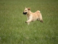 k-IMG_0278 Kopie.JPG