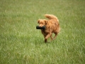 k-IMG_0279 Kopie.JPG
