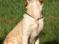 k-IMG_9928 Kopie.JPG