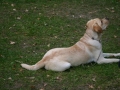 k-img_1957